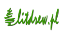 LOGO Litdrew
